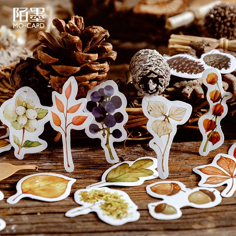 Sticker Box - Flight of the Fallens Leaves - 46 Stickers - Image 2