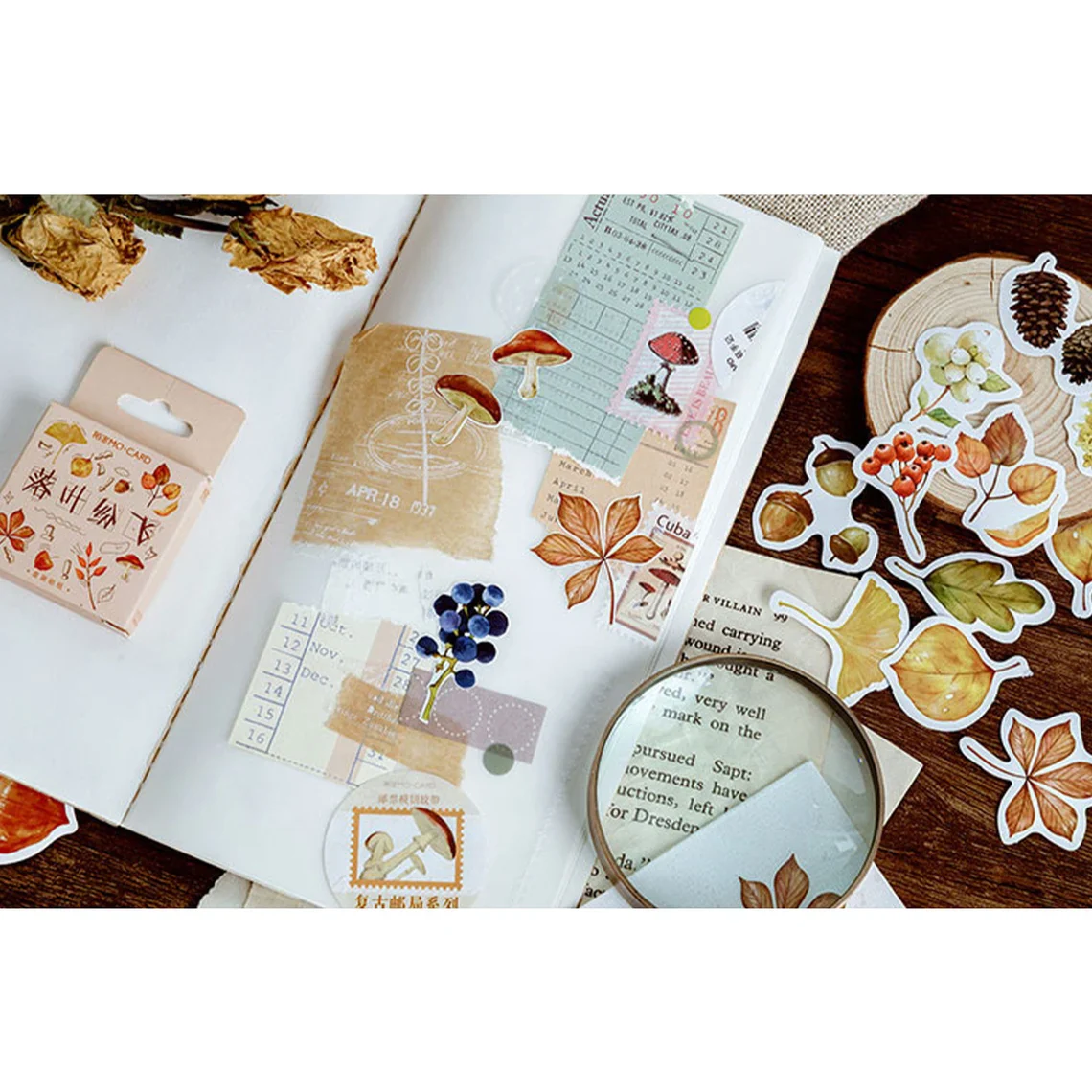 Sticker Box - Flight of the Fallens Leaves - 46 Stickers - Image 5