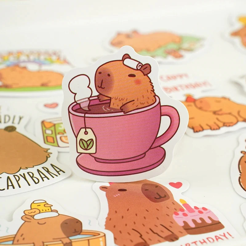 Sticker Box - Capybara Collection - 45 Stickers - Image 4