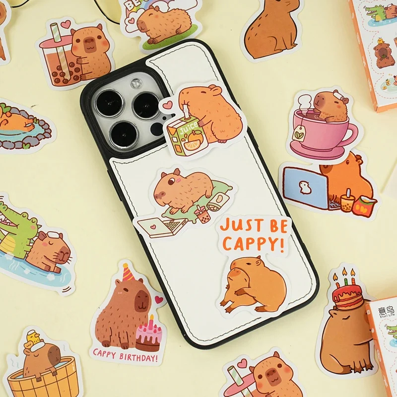 Sticker Box - Capybara Collection - 45 Stickers - Image 6