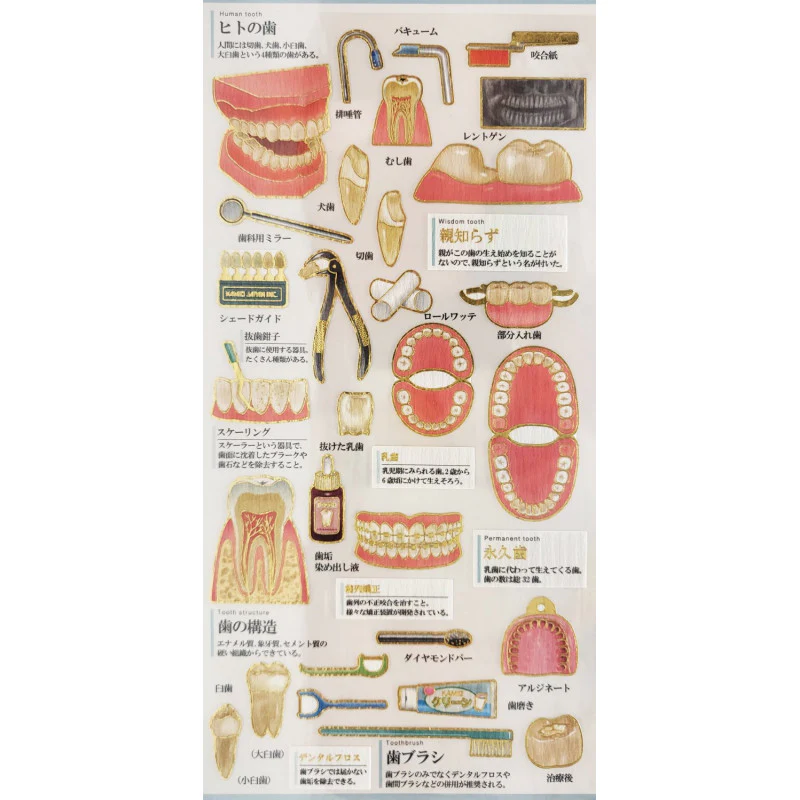 Kamio Japan - Otona Sticker Sheet - Dental Care - Image 2