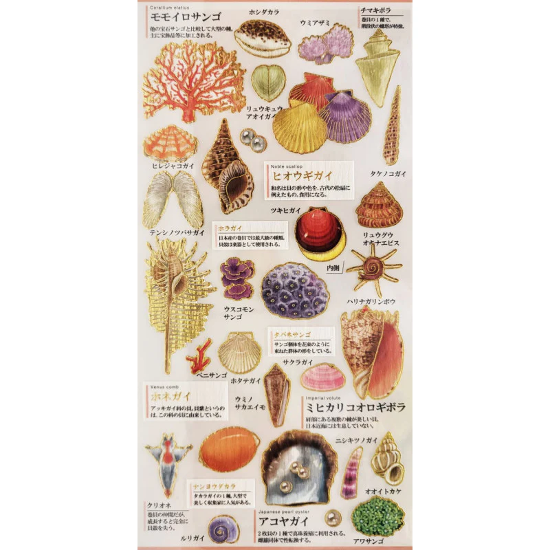Kamio Japan - Otona Sticker Sheet - Shells & Corals - Image 2
