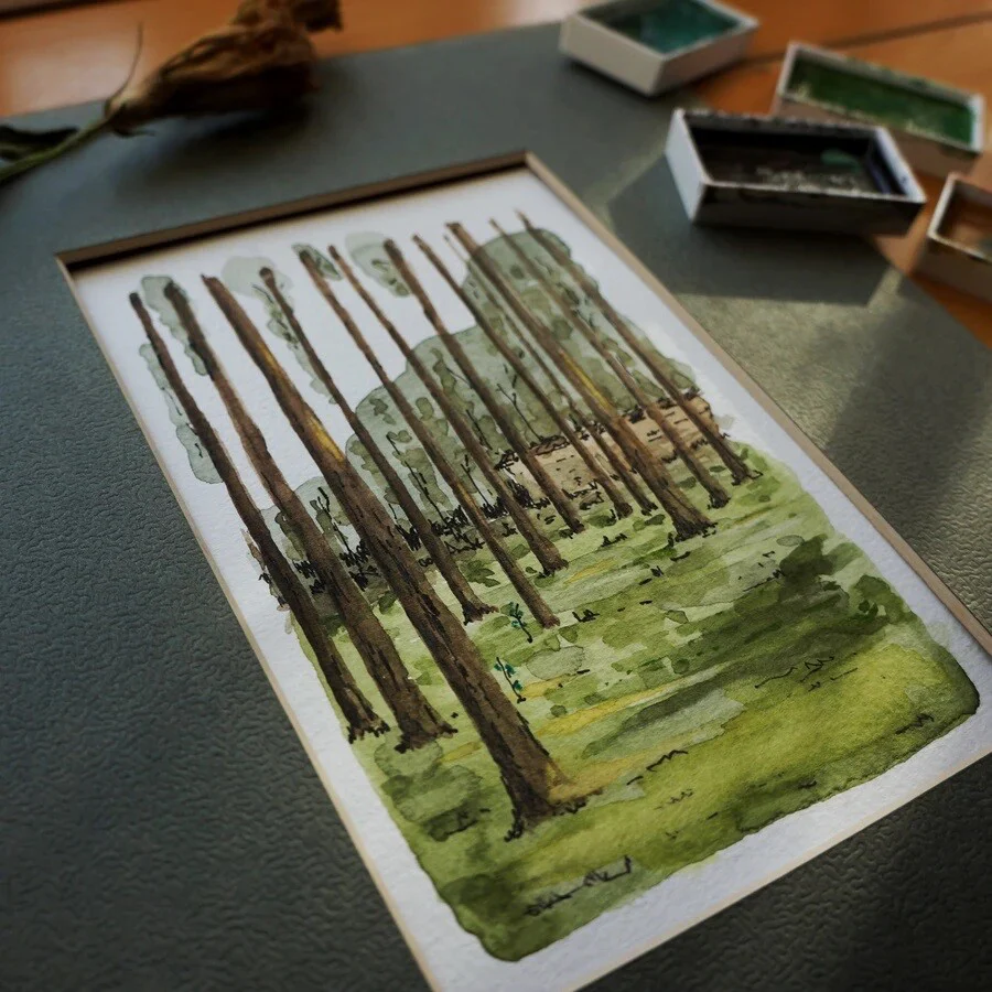 Kuretake - Gansai Tambi - Watercolor Paint - 36 Colours Set - Image 5