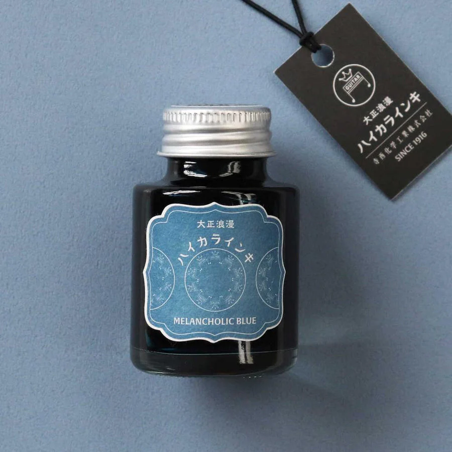 Teranishi Guitar Fountain Pen Ink - Melancholic Blue - 40ml - Image 3