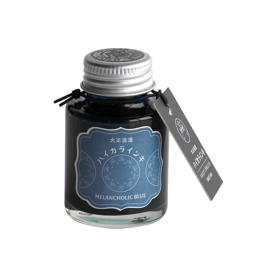 Teranishi Guitar Fountain Pen Ink - Melancholic Blue - 40ml - Image 5