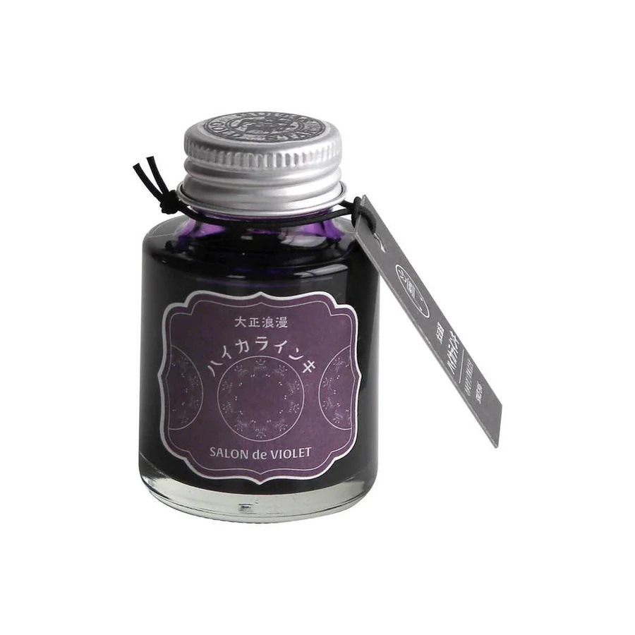 Teranishi Guitar Fountain Pen Ink - Salon de Violet - 40ml - Image 5