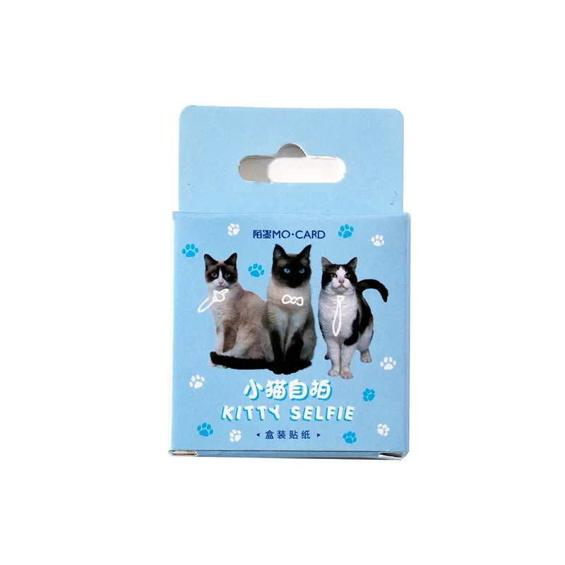 Sticker Box - Kitty Selfie - 45 Stickers - Image 5
